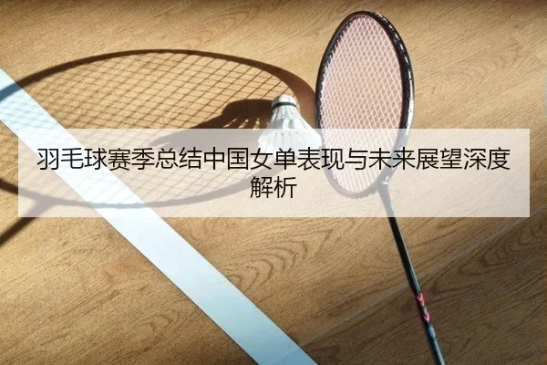 羽毛球赛季总结中国女单表现与未来展望深度解析